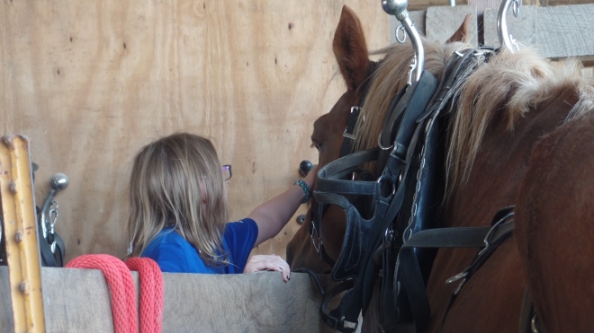 Little Girl Petting Horses Head